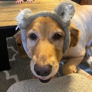 Meet your Posher, Brynn